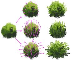 the different types of plants are depicted in this image, with arrows pointing to them