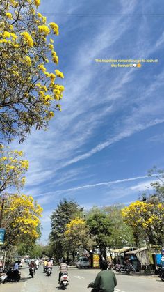 people are riding motorcycles down the street with yellow flowers on trees in the foreground