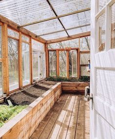 a room filled with lots of plants inside of a greenhouse type structure and wooden flooring