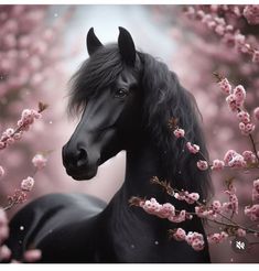 a black horse standing in front of pink flowers