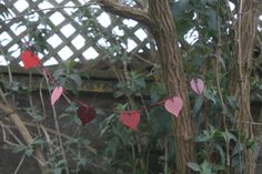 red and pink paper hearts hanging from a tree