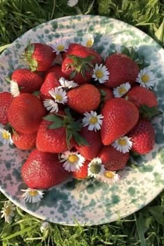 a plate full of strawberries and daisies on the grass