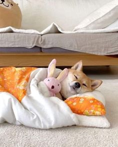 a small dog laying on top of a bed with a stuffed animal next to it