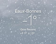 the text reads faux - bones and is written in white on a gray background with snow flakes