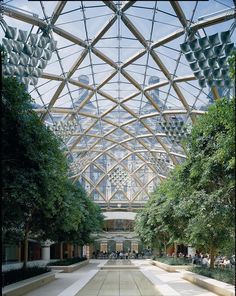 an outdoor walkway with trees and buildings in the background