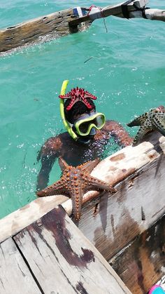 Starfish in Zanzibar Zanzibar Tanzania Aesthetic, Tanzania Aesthetic, Tanzania Culture, Zanzibar Aesthetic, Zanzibar Africa, Zanzibar Travel, Grad Trip, Zanzibar Tanzania