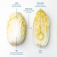 the parts of a cabbage on a white background