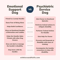 the differences between an empathic and psychic dog infographical graphic by wildfloweroflife com