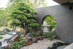 an outdoor garden with rocks and trees