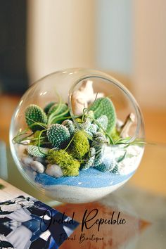 a glass bowl filled with succulents and rocks on top of a table