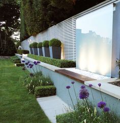 an outdoor garden with purple flowers and plants in the foreground, next to a white wall