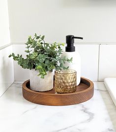 a bathroom counter with a plant and soap dispenser sitting on top of it