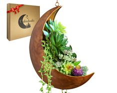 PRICES MAY VARY. INSPIRED BY THE COSMOS, this unique PATENT HANGING CRESCENT MOON PLANTER adds a touch of twinkle and CELESTIAL love to any space. Featuring the perfect vintage brushed finish, this eye catching handmade piece of art adds subtle gold tones to any room decor. It's perfect for hanging succulents or Indoor and Outdoor hanging plants require little water and shallow depth. Add some trailing little LEDs or battery TEA LIGHTS to this dreamy planter for an ambient glow to a quiet corner Moon Room Decor, Moon Planter, Moon Room, Bathroom Nursery, Planter Gift, Mini Cactus, Hanging Succulents, Unique Planter, Moon Decor