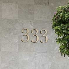 the number 333 is on the wall next to a potted plant