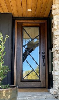 a large potted plant sitting in front of a door with a glass pane