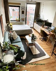 a living room filled with furniture and lots of plants on top of a hard wood floor