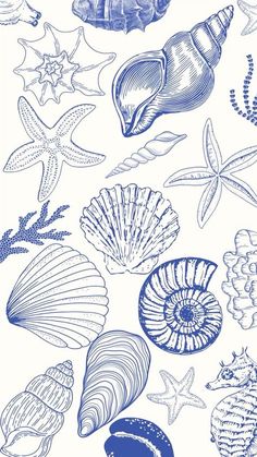 blue and white seashells wallpaper with starfish, seaweed, shells