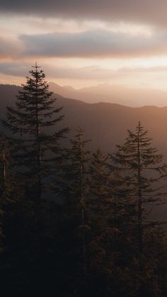 the sun shines through the clouds in the distance as trees stand on top of a hill