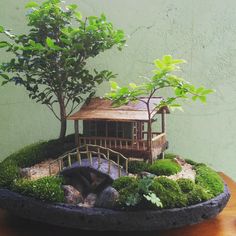 a bonsai tree and bridge in a potted planter on a wooden table