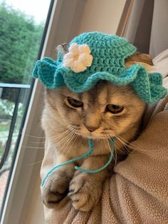 Crochet Daisy Ruffle Hat for Cats - Etsy UK (UK Seller) Cat Crochet Outfit, Crochet Cat Outfits, Crochet Layout, Crochet Pet Hat, Cat Hat Pattern, Ruffle Hat, Crochet Ruffle, Crochet Daisy