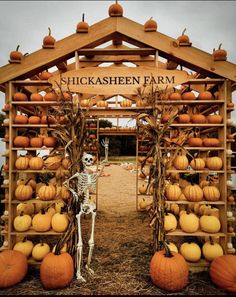 a wooden structure with pumpkins and a skeleton in it