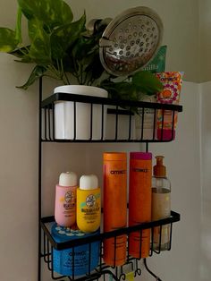 a shelf with some hair products and a potted plant on it's side