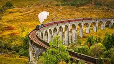 a train traveling over a bridge on top of a lush green hillside next to trees