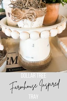 dollar tree farmhouse inspired tray with fake eggs and plants in pots on top, text overlay that says dollar tree farmhouse inspired tray