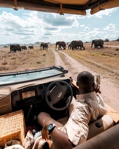 a man driving a car down a dirt road with elephants in the background