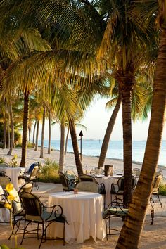 tables and chairs are set up on the beach with palm trees in the foreground