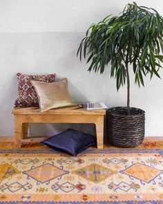 a potted plant sitting on top of a wooden bench in front of a rug