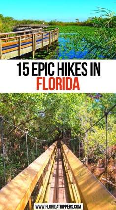 15 Epic Hikes in Florida Florida Hiking, Hiking In Florida, Florida National Parks, Florida Vacation Spots, Florida Travel Destinations, Florida Attractions, Florida Travel Guide, Florida Adventures, Road Trip Places