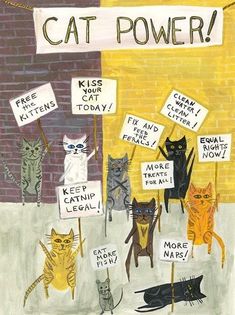 there are many cats holding signs in front of a brick wall that says cat power