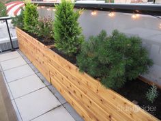 an outdoor area with plants and lights on the side of the building that is next to it