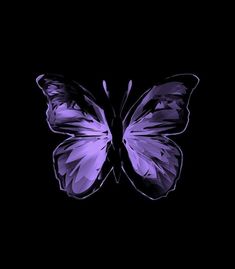 a purple butterfly flying in the dark