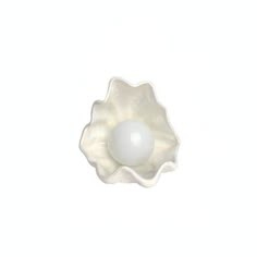 an egg in a shell on a white background