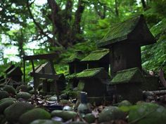 moss covered stone houses in the woods with rocks and trees around them, along with green leaves