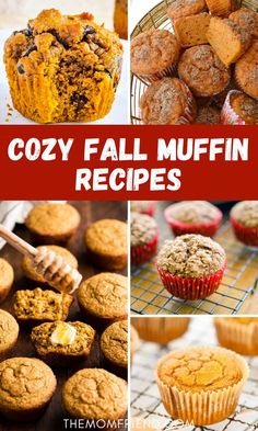 Collage of easy muffin recipes for fall. Fall Muffin Recipes, Muffins Applesauce, Delicious Muffin Recipes, Sugar Free Banana Muffins, Strawberry Muffins Healthy, Muffins Cinnamon, Banana Bread Muffins Easy, Chocolate Banana Muffins Recipe