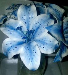 a blue and white flower in a glass vase