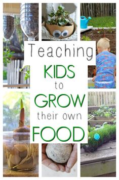 the words teaching kids to grow their own food are overlaid with pictures of vegetables and plants