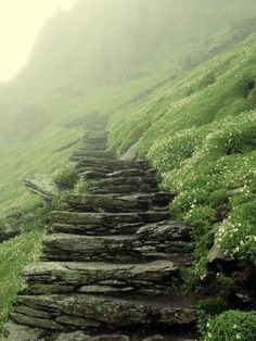 a set of stone steps leading up the side of a mountain