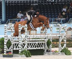 a horse and rider jumping over an obstacle in front of people on the bleachers