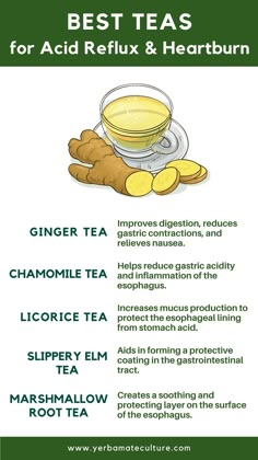 Silent Reflux Diet, Reduce Acidity, Natural Nausea Remedies, Acid Reflux Diet Meals, Best Herbal Teas, Gerd Recipes, Licorice Tea