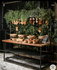 a table with potted plants on top of it