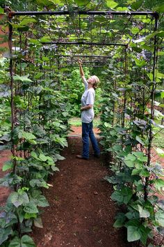 a man standing in the middle of a garden with lots of green plants on it