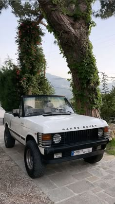 a white pick up truck parked next to a tree