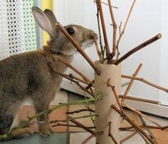 a small rabbit is standing next to a tree branch vase that has branches in it