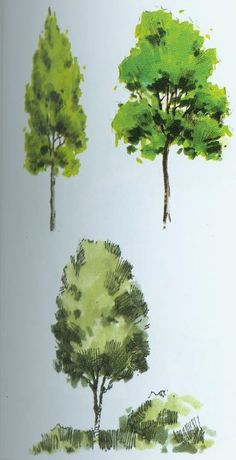 four different trees are shown in this drawing