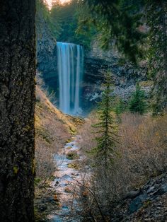 a waterfall in the middle of a forest with trees around it and water running down the side