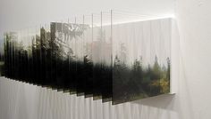 an abstract photograph of trees in the foggy forest with white walls and curtains on either side